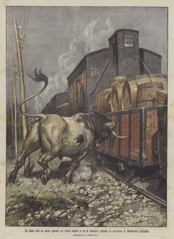 En tyr, der kaster sig mod et godstog og får det til at afvige, nær Belmonte Calabro-stationen af Achille Beltrame