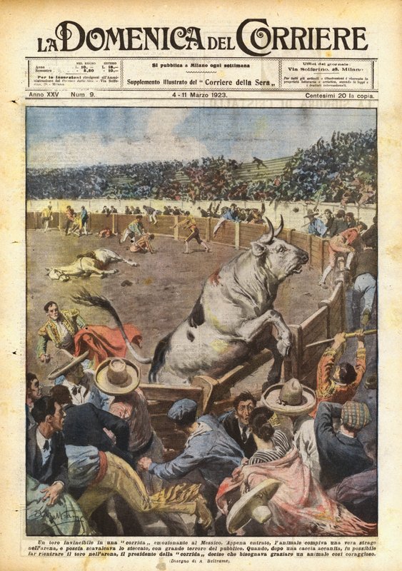 En uovervindelig tyr i en spændende tyrefægtning i Mexico af Achille Beltrame