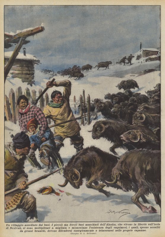 En landsby belejret af okser af Achille Beltrame