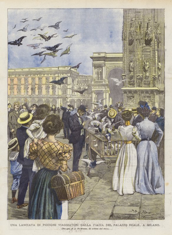 En opsendelse af passagerduer fra Royal Palace Square i Milano af Achille Beltrame