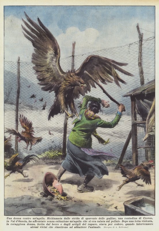 En kvinde mod en ørn af Achille Beltrame