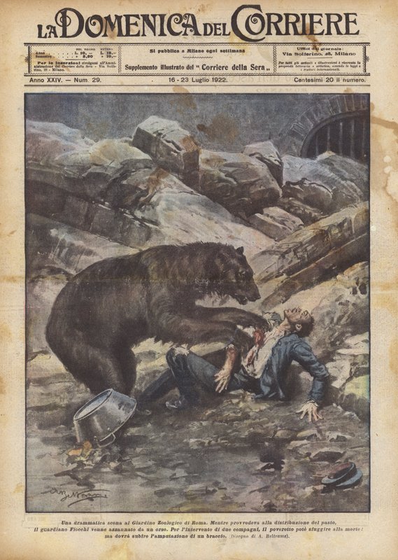 En dramatisk scene i Roms zoologiske have af Achille Beltrame