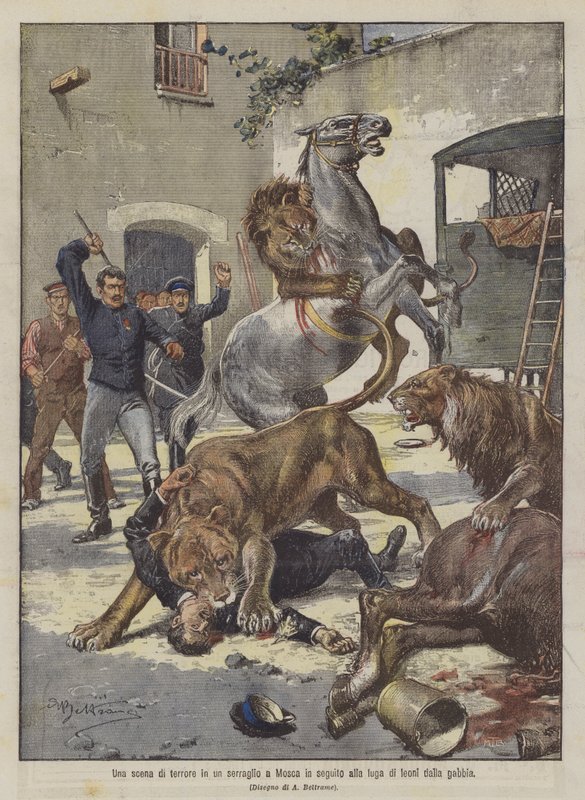 En scene af terror i et menageri i Moskva, efter at løver er sluppet ud af deres bur af Achille Beltrame