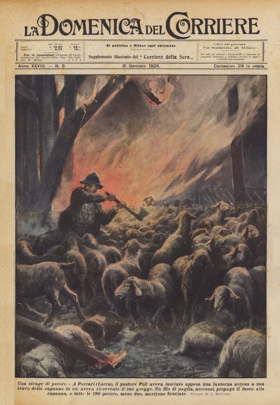 En slagtning af får af Achille Beltrame