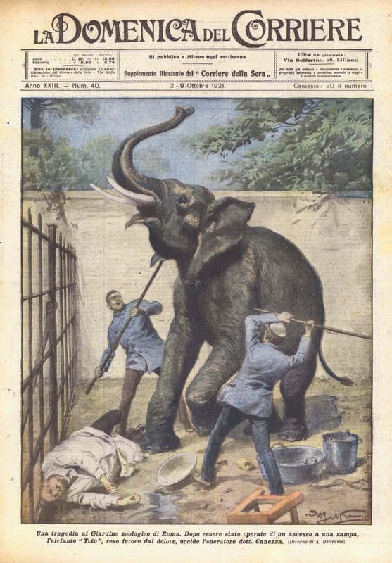 En tragedie i Roms zoologiske have af Achille Beltrame