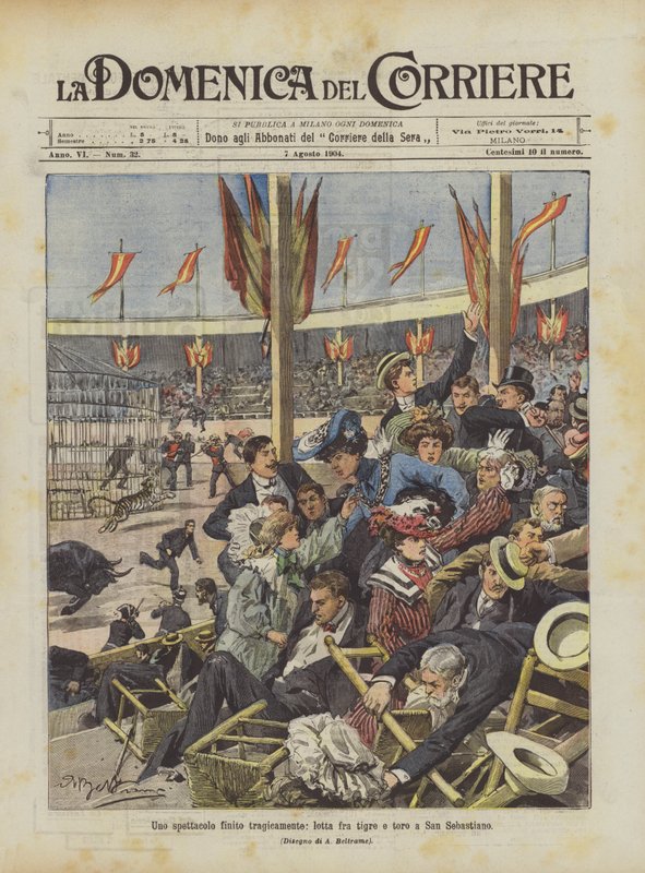 Et show, der endte tragisk, en kamp mellem tiger og tyr i San Sebastiano af Achille Beltrame