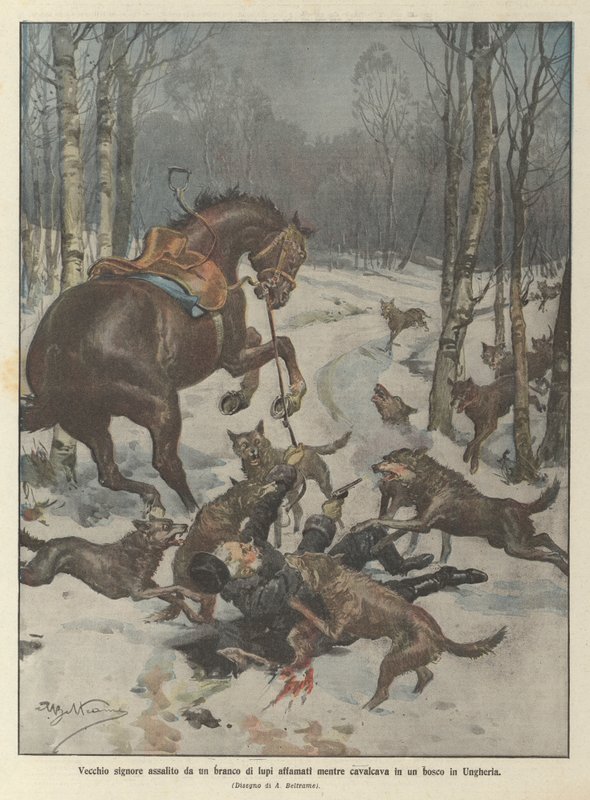 Gammel mand angrebet af en flok sultne ulve under ridning i en skov i Ungarn af Achille Beltrame