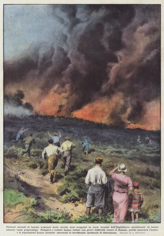Voldsomme skovbrande, der skyldes tørke, er brudt ud på forskellige steder. af Achille Beltrame