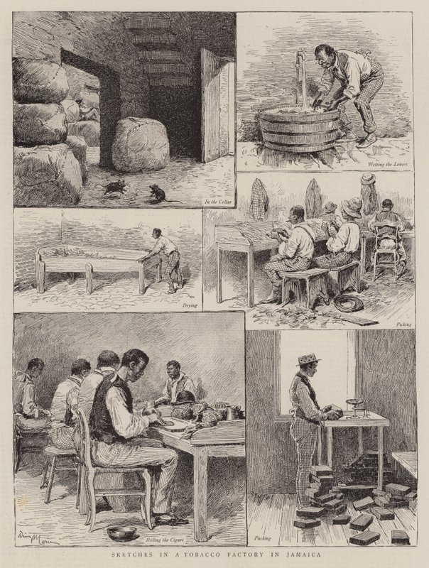 Skitser i en tobaksfabrik i Jamaica af Adrien Emmanuel Marie