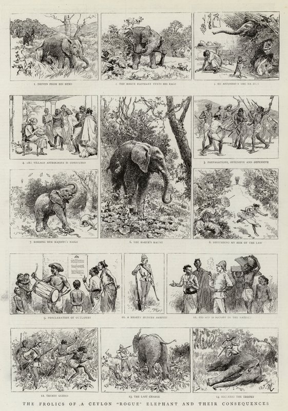En Ceylon Rogue Elephants boltrer sig og deres konsekvenser af Adrien Emmanuel Marie