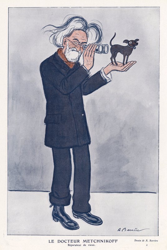 Elie Metchnikoff, russisk zoolog (farve litho) af Adrien Barrere