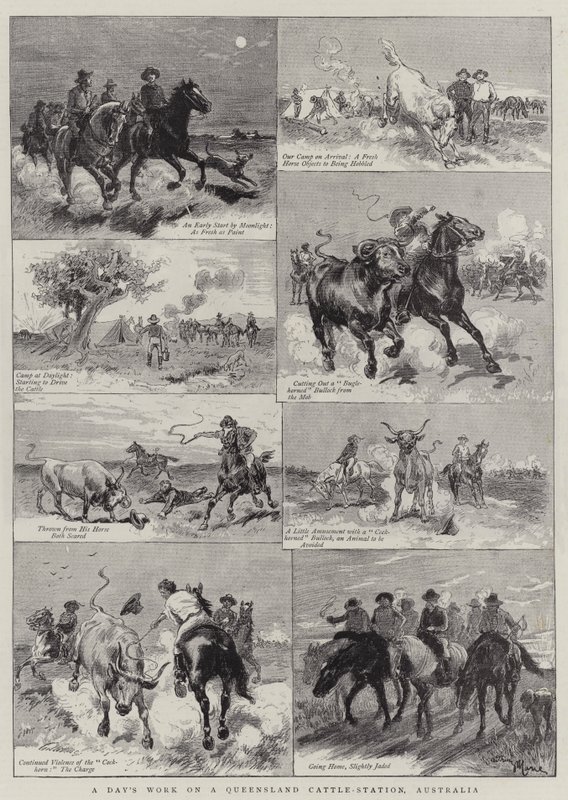 En dags arbejde på en Queensland Cattle-station, Australien af Adrien Emmanuel Marie