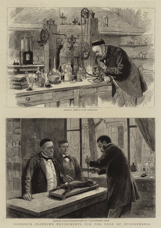 Monsieur Pasteurs eksperimenter til helbredelse af hydrofobi af Adrien Emmanuel Marie