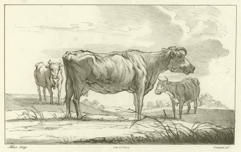 Tre køer af Aelbert Cuyp