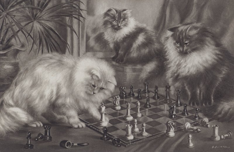 Gruppe af katte, der leger med skakbrikker af Agnes Augusta Talboys