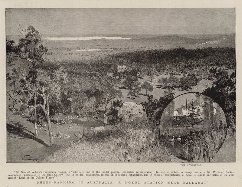 Fåreavl i Australien, en modelstation nær Ballarat af Albert Henry Fullwood