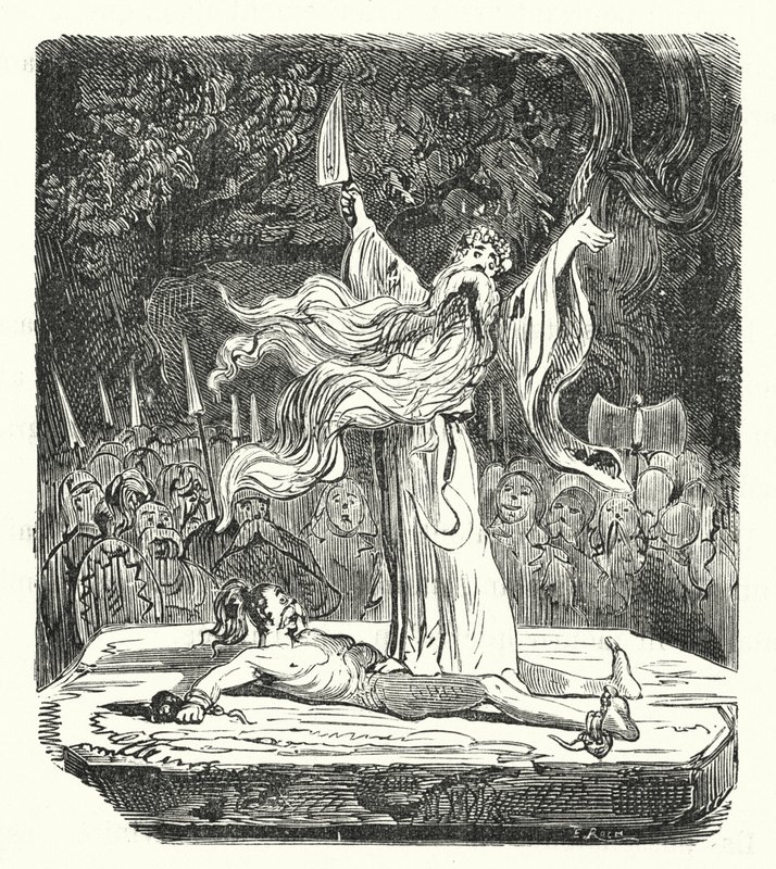 Druide udfører et menneskeoffer (gravering) af Albert Robida