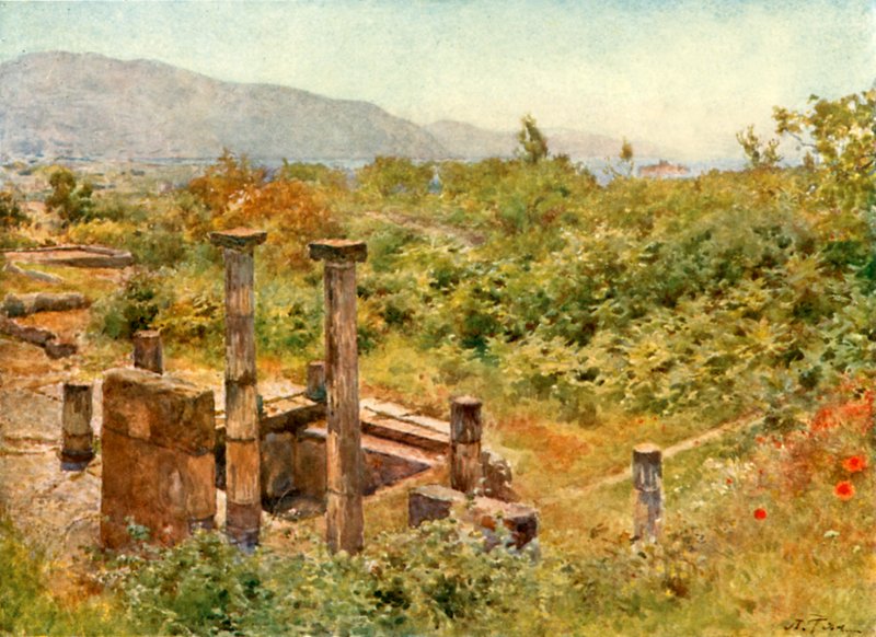 Udsigt fra Pompeji af Alberto Pisa