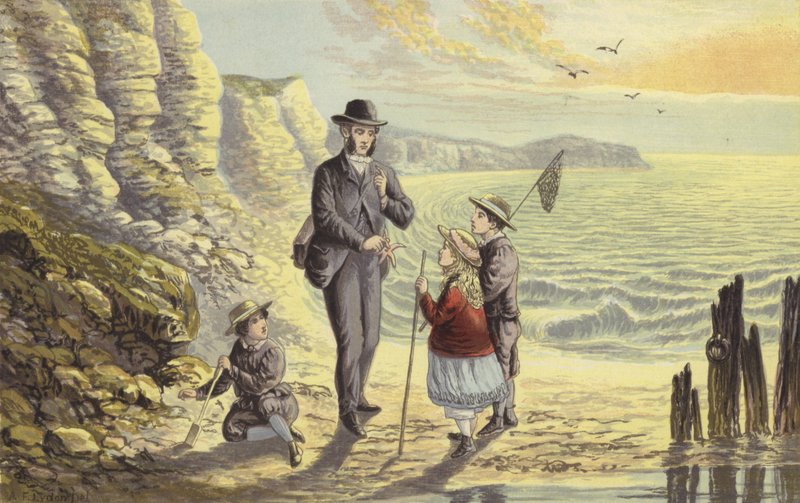 Ved havkysten af Alexander Francis Lydon