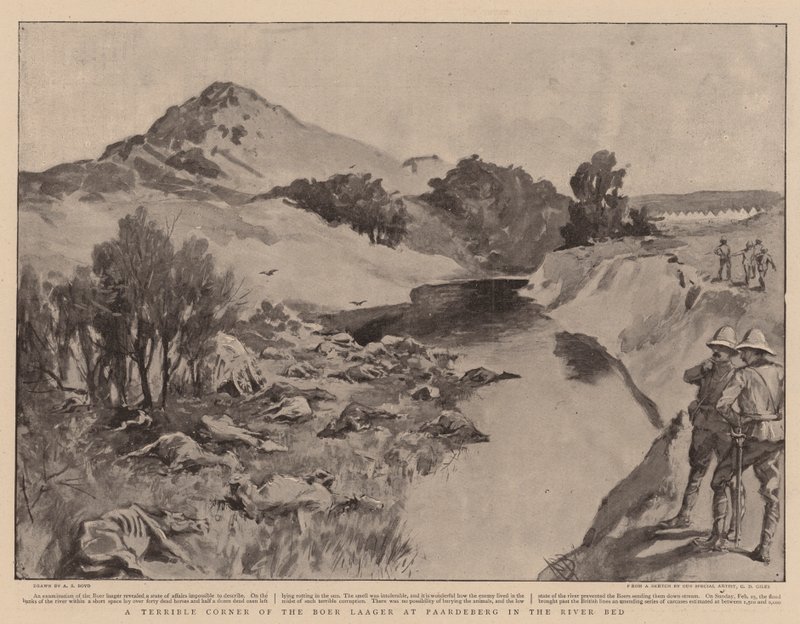 Et forfærdeligt hjørne af boerlejren ved Paardeberg i flodlejet af Alexander Stuart Boyd