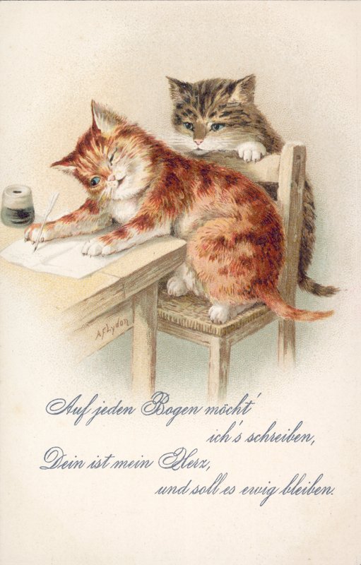 Humoristisk kattepostkort (farvelitografi) af Alexander Francis (after) Lydon