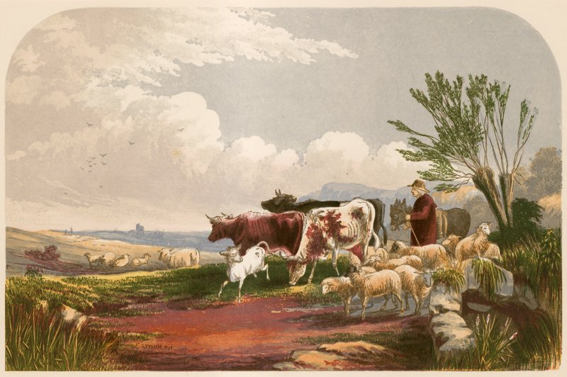 Illustration til Goldsmith