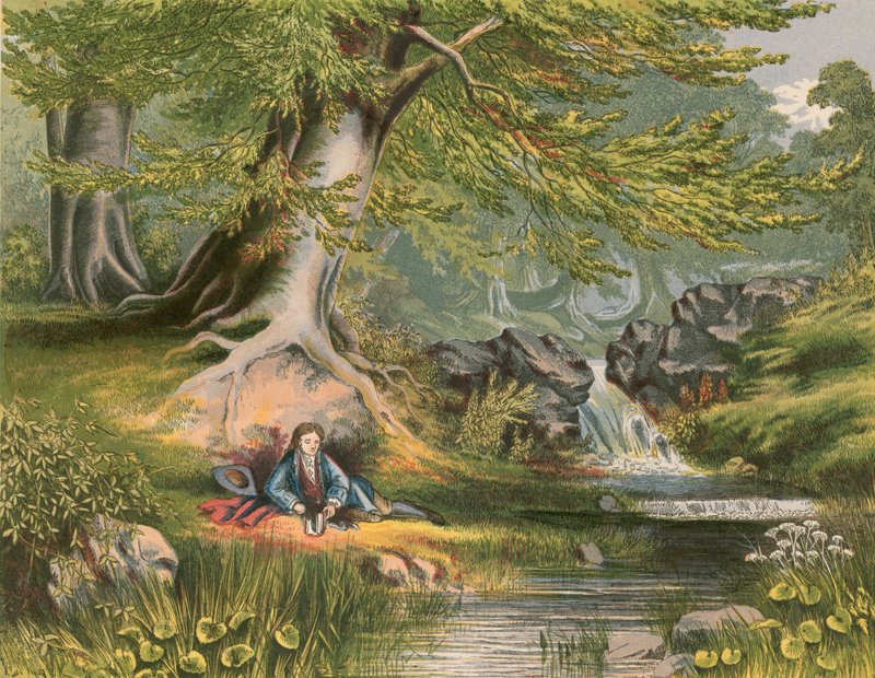 Illustration til Gray