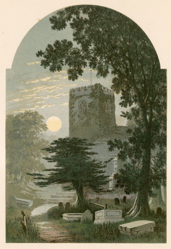 Illustration til Gray