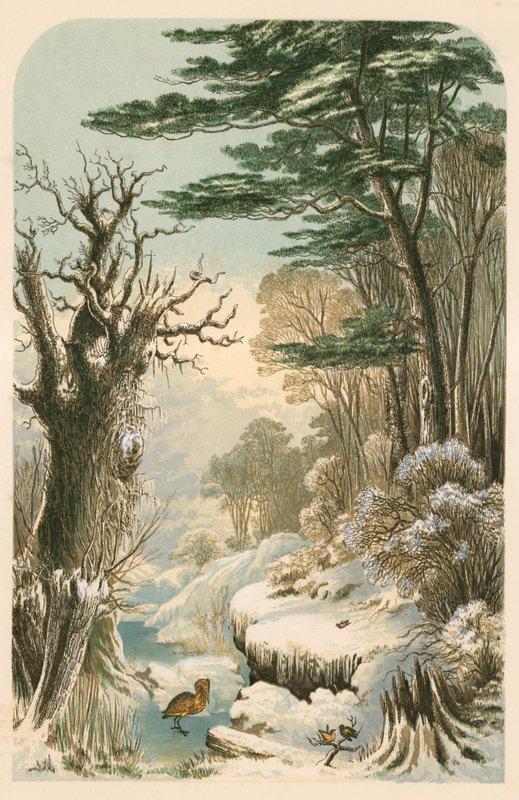 Illustration til Longfellow
