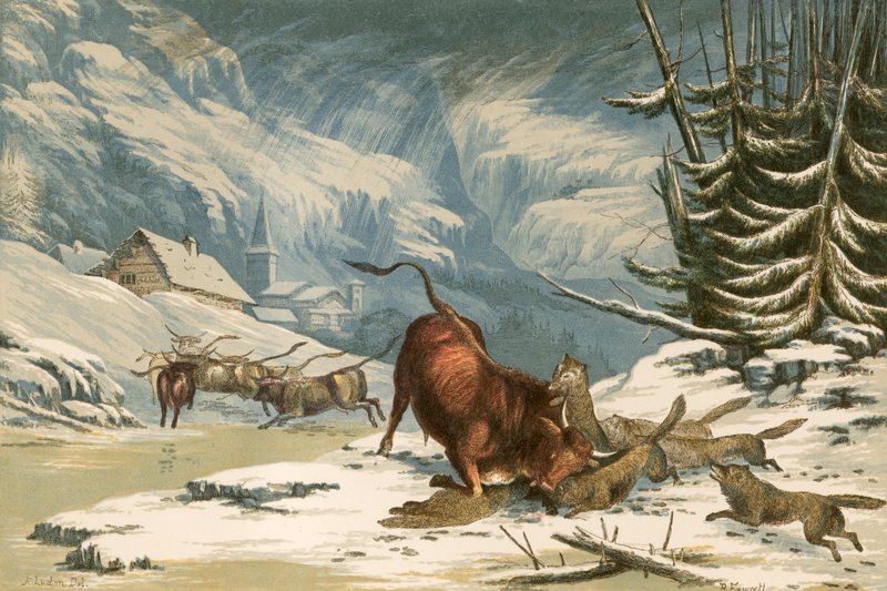 Illustration til Thomson