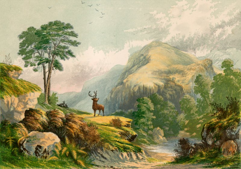 Illustration til Wilsons adresse til en vild hjort af Alexander Francis Lydon