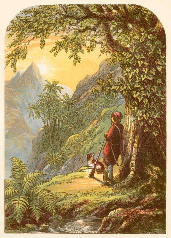 Robinson Crusoe tager en rundtur på øen af Alexander Francis Lydon