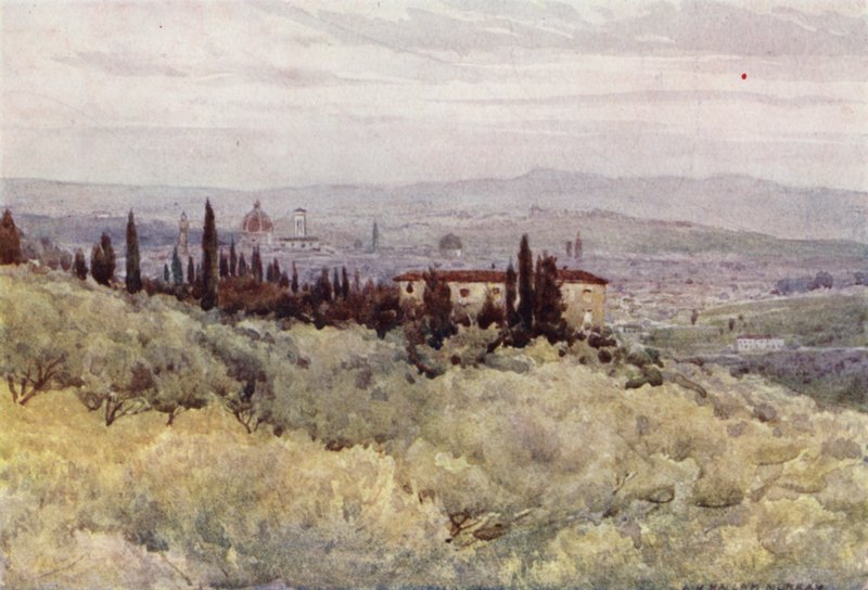 Firenze fra San Domenicos olivenhave (farve litho) af Alexander Henry Hallam Murray