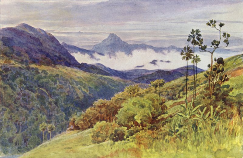 Morgentåger i dalen af Mahaweli Ganga (farve litho) af Alexander Henry Hallam Murray