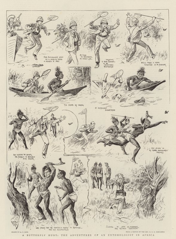 En sommerfuglejagt, en entomologs eventyr i Afrika af Alexander Stuart Boyd