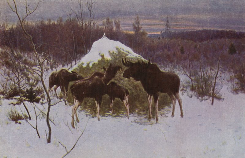 Flok af Elk, 1889 af Alexei Steipanovitch Stepanov