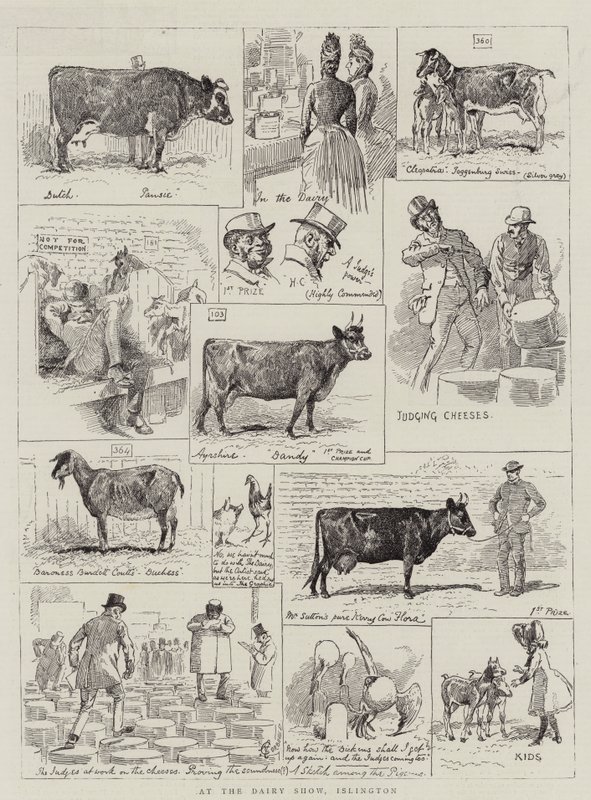På Dairy Show, Islington af Alfred Chantrey Corbould