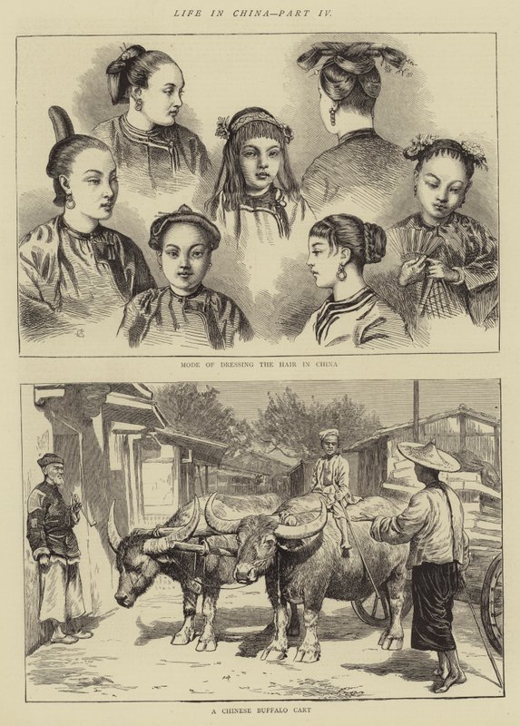 Livet i Kina, del IV af Alfred Chantrey Corbould