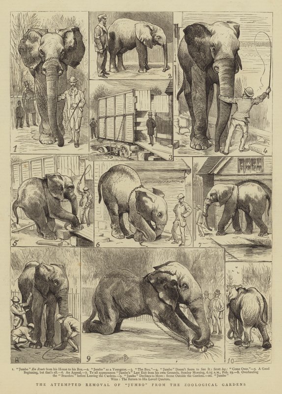 Forsøg på fjernelse af Jumbo fra Zoologisk Have af Alfred Chantrey Corbould