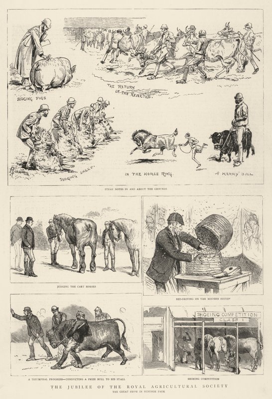 Jubilæet for Royal Agricultural Society af Alfred Chantrey Corbould