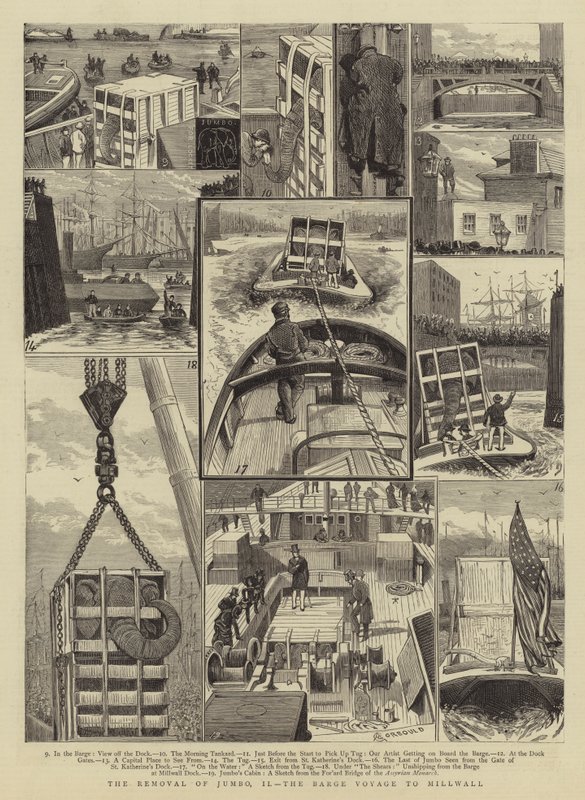 Fjernelsen af Jumbo, II, pramrejsen til Millwall af Alfred Chantrey Corbould