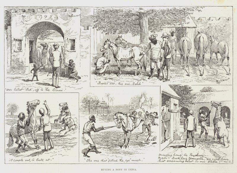Køb af en pony i Indien af Alfred Courbould