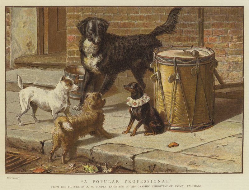 En populær professionel (chromolitho) af Alfred W. Cooper