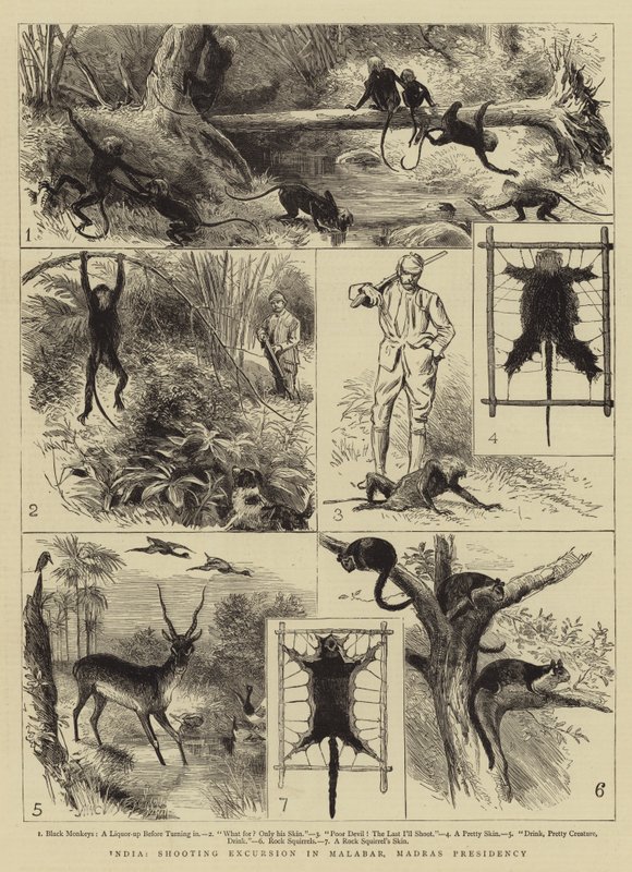 Indien, Skydeudflugt i Malabar, Madras Præsidentskab af Alfred W. Cooper