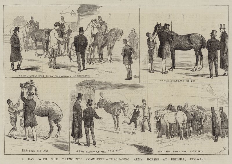 A Day with the Remount Committee, køb af Army Horses i Redhill, Edgware af Alfred Chantrey Corbould