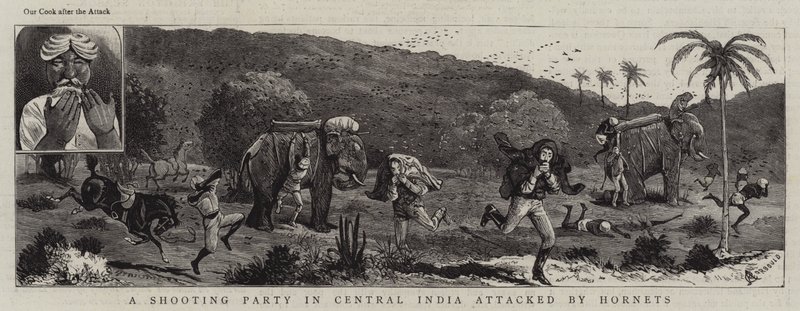 En skydefest i det centrale Indien angrebet af Hornets af Alfred Chantrey Corbould