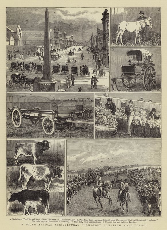 Et sydafrikansk landbrugsudstilling, Port Elizabeth, Kapkolonien af Alfred Chantrey Corbould