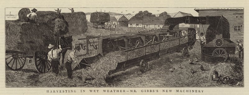 Høst i vådt vejr, hr. Gibbs