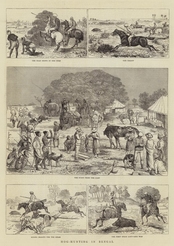 Svinejagt i Bengalen af Alfred Chantrey Corbould