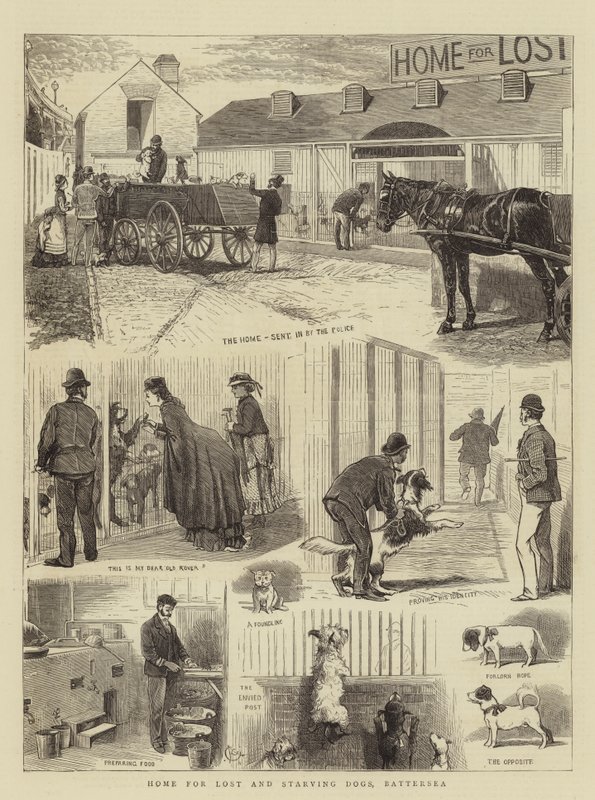 Hjem for fortabte og udsultede hunde, Battersea af Alfred Chantrey Corbould